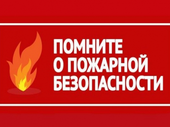 Информация для граждан, являющихся собственниками и пользователями земельных участков, прилегающих к лесу.